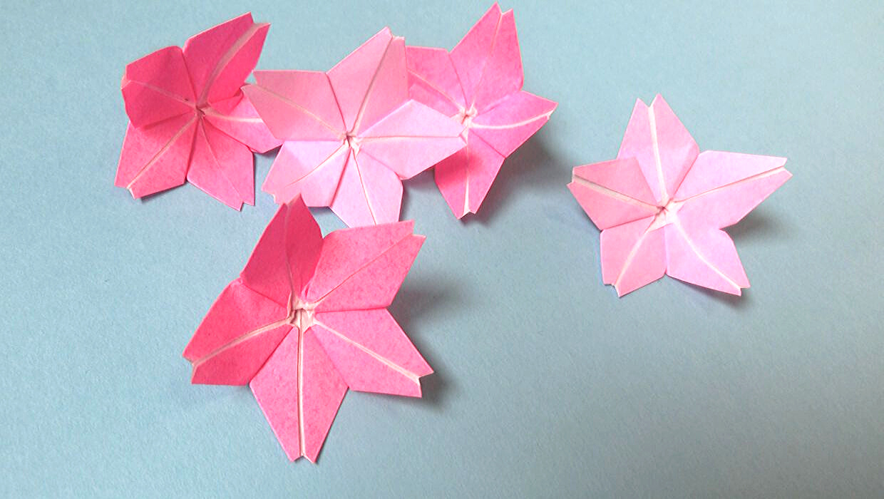 春の折り紙 桜 さくら の折り方 平面にも立体にもなる可愛い花 ちょちょいの工作部屋