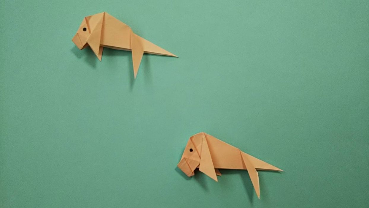 折り紙で水の生き物 水族館ごっこにオススメ ジュゴン の折り方 ちょちょいの工作部屋